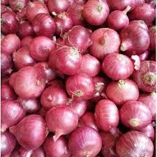 tenemos una cosecha fresca de cebolla roja y amarilla, calibre: 55+ contacte directamente, llame: correo electrónico: wechat: omarkjerry0