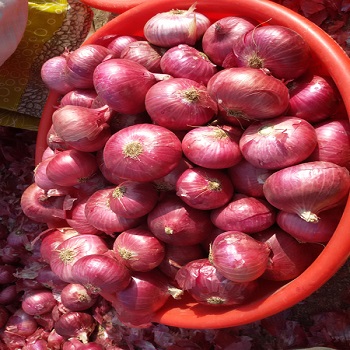 tenemos una cosecha fresca de cebolla roja y amarilla, calibre: 55+ contacte directamente, llame: correo electrónico: wechat: omarkjerry0