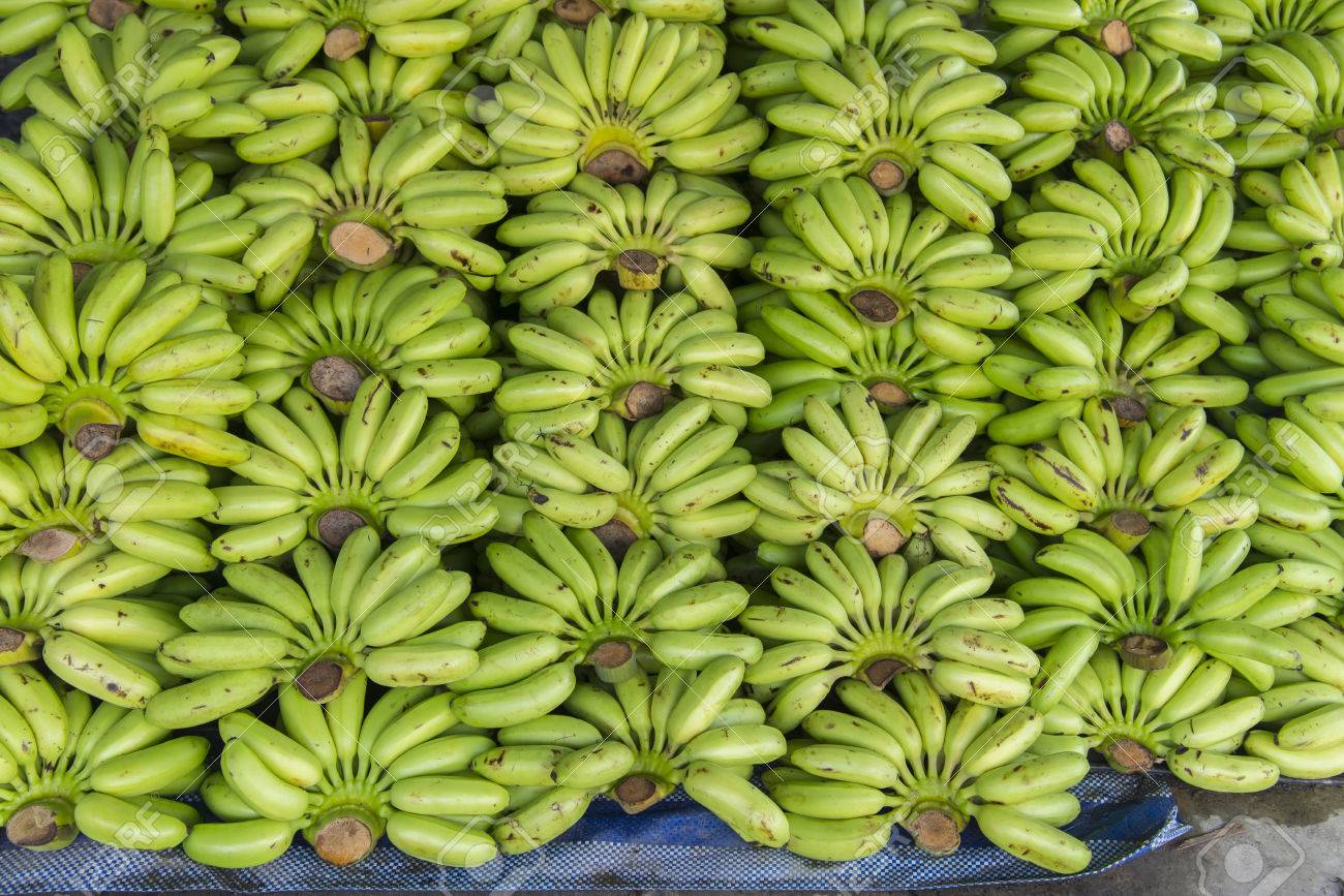 Venta al por mayor Fresh Long Green Cavendish Banana for Export POR FAVOR CONTÁCTENOS PARA MEJOR OFERTA WhatsApp .....
