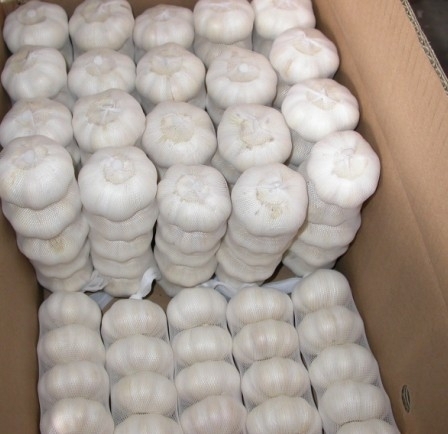 Precio de ajo blanco normal al por mayor en China POR FAVOR CONTÁCTENOS PARA MEJOR OFERTA WhatsApp .....