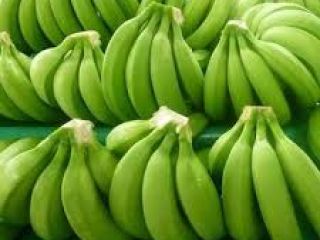Tenemos plátanos frescos a la venta a un precio