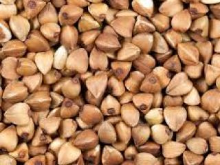 Tenemos trigo sarraceno a la venta a un precio
