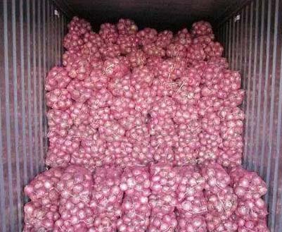 tenemos una cosecha fresca de cebollas rojas y amarillas Calibre: 55+ contacte directamente, llame al: correo electrónico: wechat: omarkjerry0