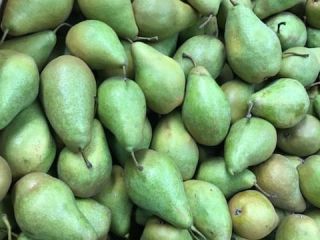 Las peras de xenia polaca excelente calidad abierta de