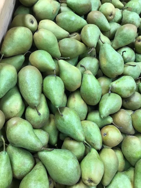 Peras Xenia