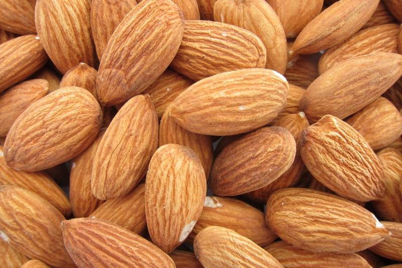 Precio de nueces de almendra californianas de primera calidad / almendra almendra / almendra Precio de venta al por mayor POR FAVOR CONTÁCTENOS PARA MEJOR
