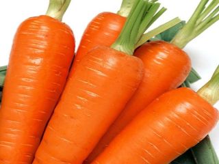 En primer lugar, las zanahorias son fibra, lo que