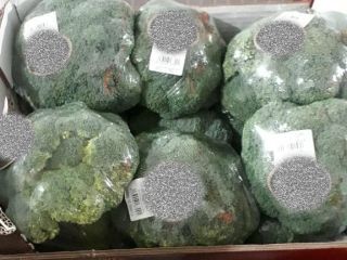 BROCCOLI FILMADO / BROCCOLI EN HIELO - 10 *