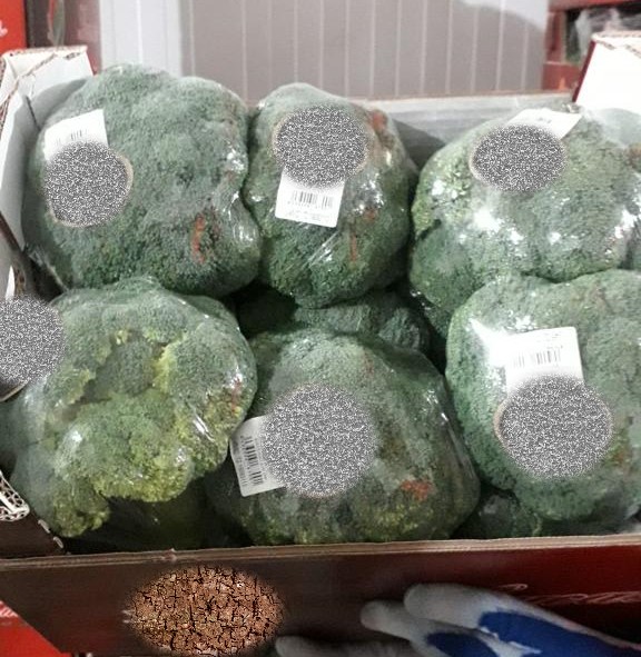 BROCCOLI FILMADO / BROCCOLI EN HIELO - 10 * 500g, Embalaje: caja de 5 kg
