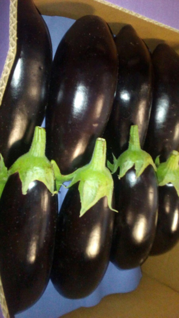 LONG EGGPLANTS / LONG EGGPLANTS FLOW PACK - caja de cartón 5KG