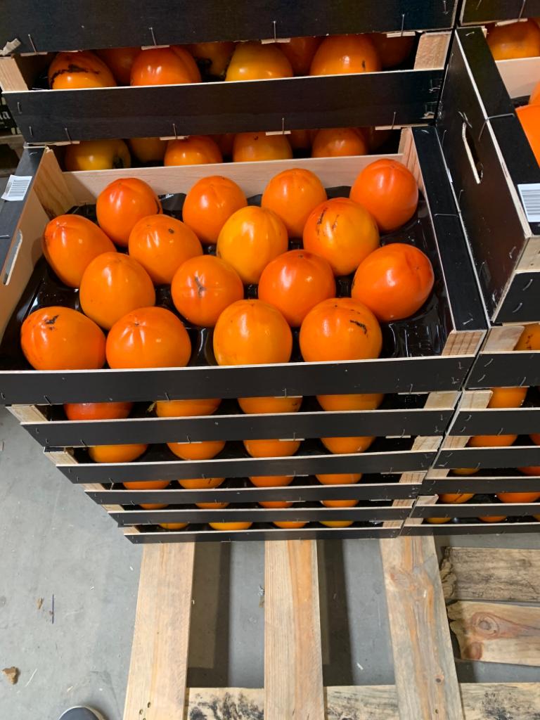 CARAMELO PERSIMON - calibre 14/12/16/18 - Embalaje: caja de madera 4,5 kg