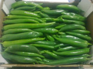 PIMIENTA CALIENTE ROJA / VERDE (CHILE) - sin calibre