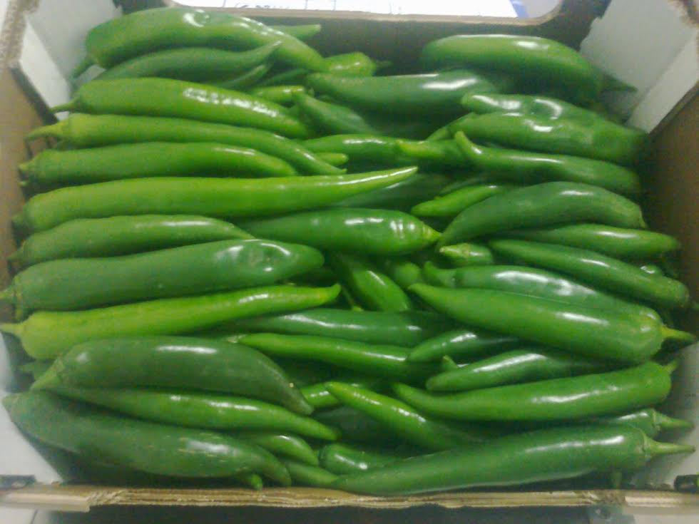 PIMIENTA CALIENTE ROJA / VERDE (CHILE) - sin calibre - caja de cartón 4 KG - origen Marruecos