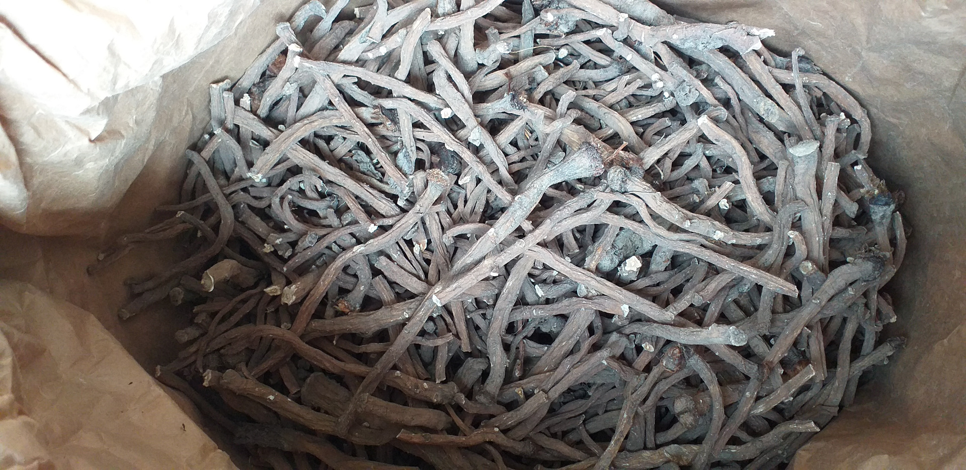 Venderé raíz de diente de león (seca) unos 8000 kg