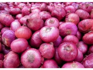 tenemos cosechas frescas de cebollas rojas y amarillas, calibre: