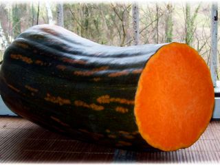 Calabaza Langer de Nápoles