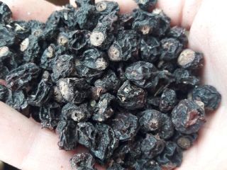 Tengo a la venta unos 1000 kg de grosella