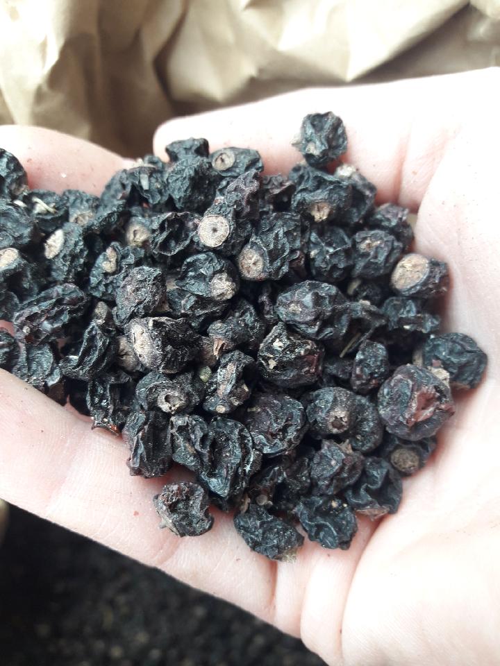 Tengo a la venta unos 1000 kg de grosella negra seca, que proviene de su propia plantación orgánica, confirmada por un certificado