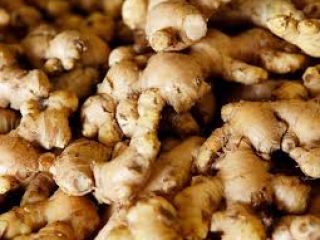 El jengibre nigeriano tiene un enorme potencial de exportación