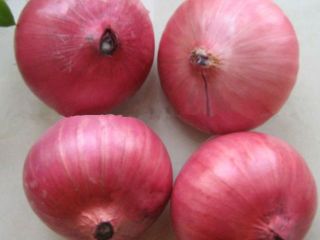 tenemos cosecha fresca de cebolla roja y amarilla, calibre: