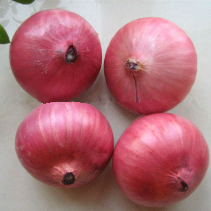 tenemos cosecha fresca de cebolla roja y amarilla, calibre: 55+ por favor contacte directamente, llame: correo electrónico: wechat: omarkjerry0