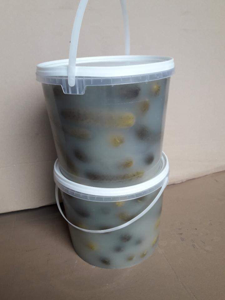 Los pepinos provienen de su propia plantación encurtidos en barriles de una manera tradicional casera usando solo sal y especias naturales