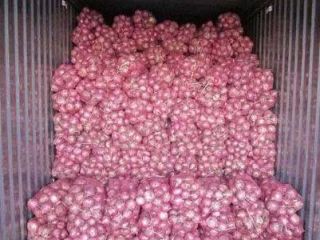 tenemos cosechas frescas de cebollas rojas y amarillas, calibre: