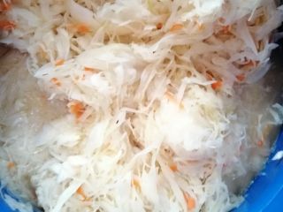 Chucrut blanco y rojo formas naturales solo en sal