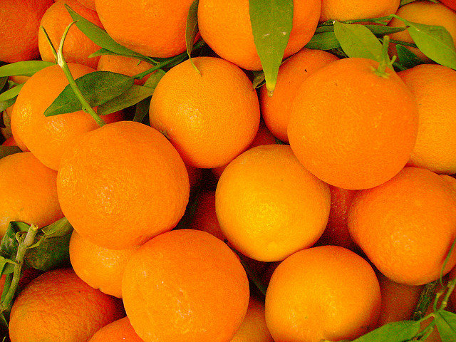 Compro naranjas y mandarinas orgánicas, recién cosechadas en España 5 lei kg