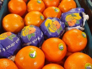 Venderé naranjas, país de origen Irán. Embalaje caja de