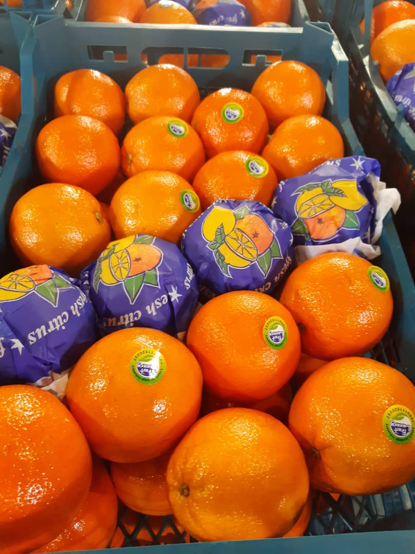 Venderé naranjas, país de origen Irán