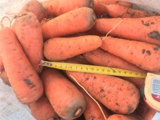 venta de variedad de zanahorias en cascada de alta