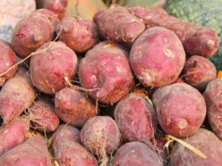 Las batatas son altamente nutritivas y una gran fuente