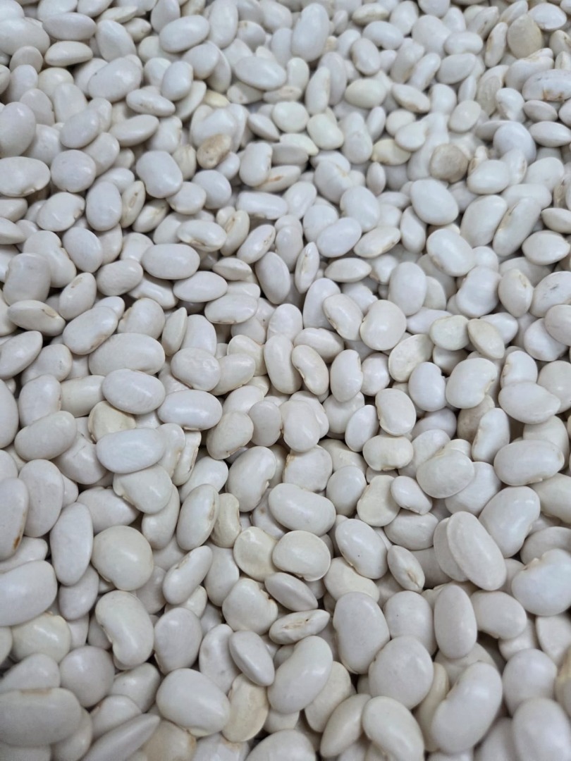 Vendo al por mayor judías de Jaś Karłowy, en paquetes de 100/135 unidades/100 g