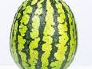 Tenemos variedad híbrida de melón de agua lista para