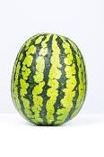 Tenemos variedad híbrida de melón de agua lista para cosechar / producir