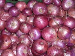 Ofrecemos cebollas rojas y amarillas Calibar: 55+ Póngase en