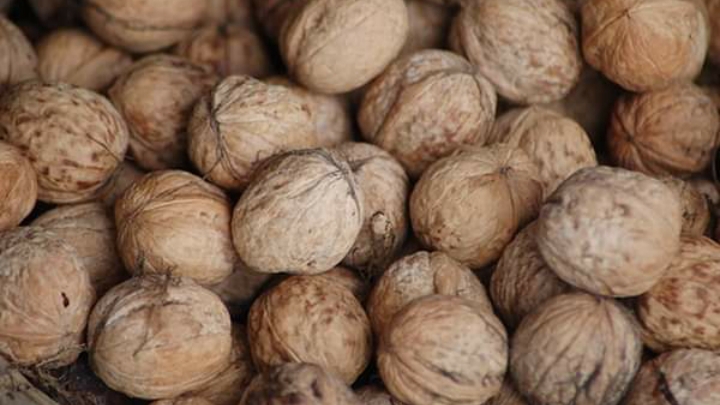 Vendo nueces con cáscara- € 2.50 / kg Contacto