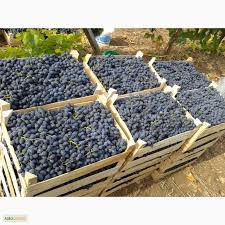 De manera regular, compramos uvas de Moldova a granel