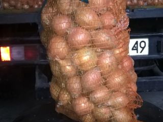 Venderé cebollas amarillas. En bolsas de 5-15 kg. Vestida
