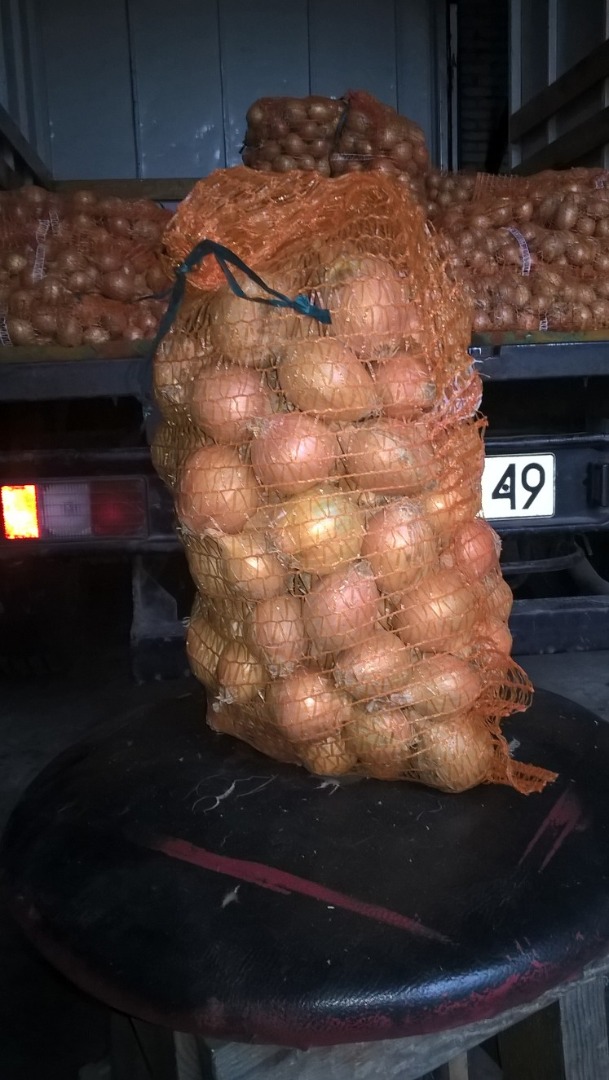Venderé cebollas amarillas