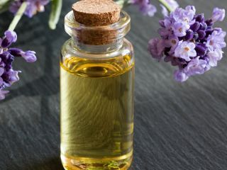 Vendemos aceite de lavanda bio, cosecha 2019.