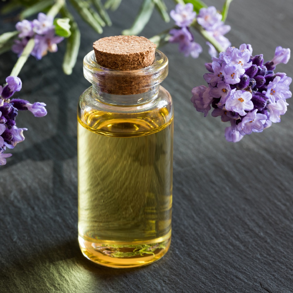 Vendemos aceite de lavanda bio, cosecha 2019