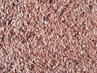 Venta de lino, pureza 98%, sin pesticidas, sin OMG