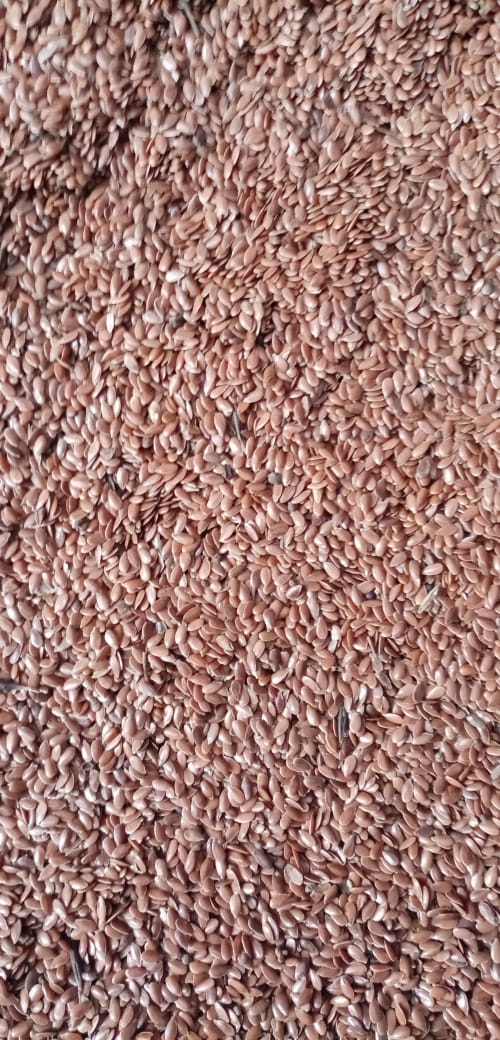 Venta de lino, pureza 98%, sin pesticidas, sin OMG