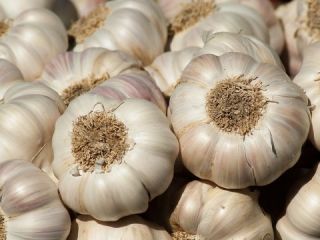 Detalles rápidos Tipo: Ajo Tipo de producto: Vegetales liliáceos