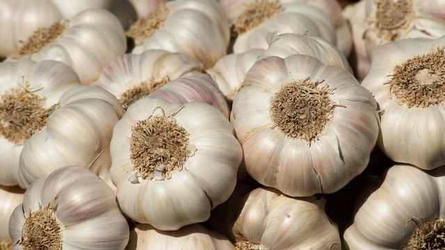Detalles rápidos Tipo: Ajo Tipo de producto: Vegetales liliáceos Estilo: Fresco Tamaño (cm): 5.5 Certificación: HACCP SGS Peso (kg): 0.05 Lugar de origen: