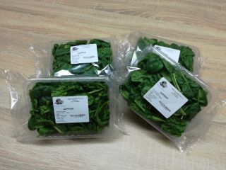 Hola, tengo a la venta espinacas frescas envasadas en
