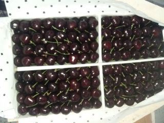 Suministramos frutas en todo el mundo. Podemos negociar el