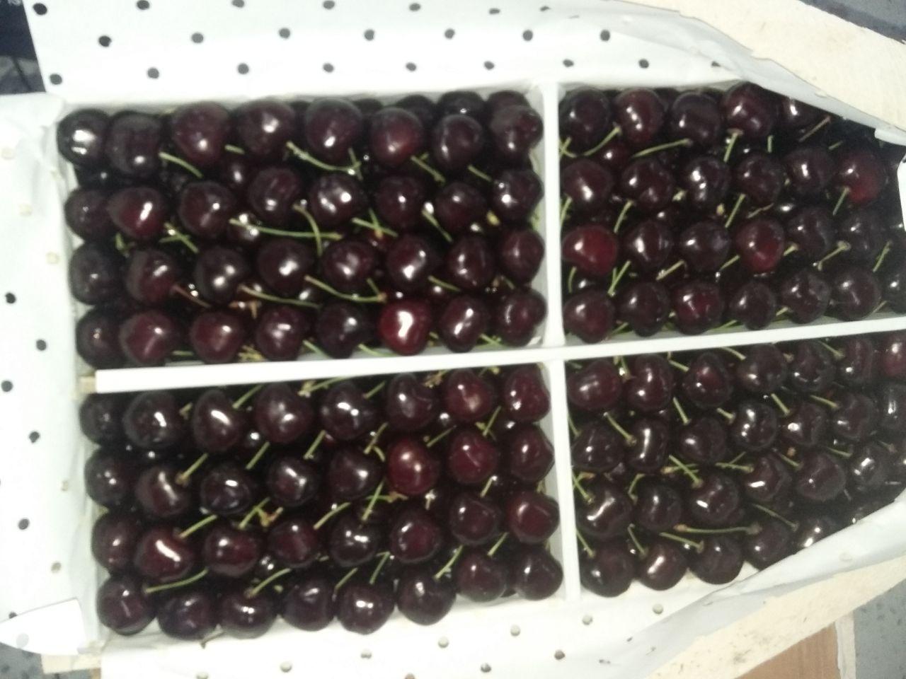 Suministramos frutas en todo el mundo